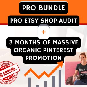 Etsy Shop Audit PLUS 3 Months Of Massive Organic Pinterest Promotion